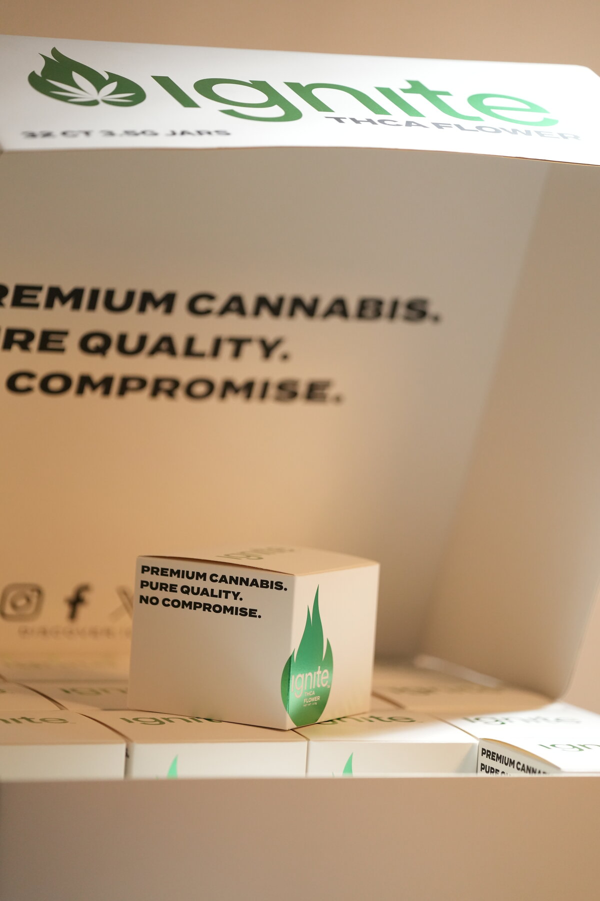 Ignite Premium Product Box - Image 3