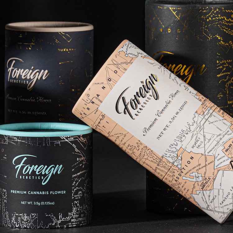 Foreign Genetics Paper Tube - Image 3