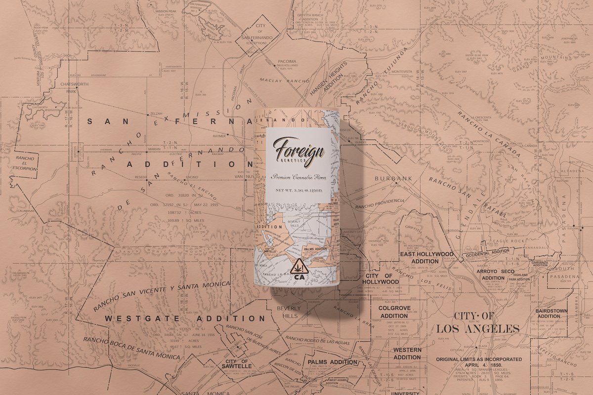 Foreign Genetics Paper Tube - Image 8