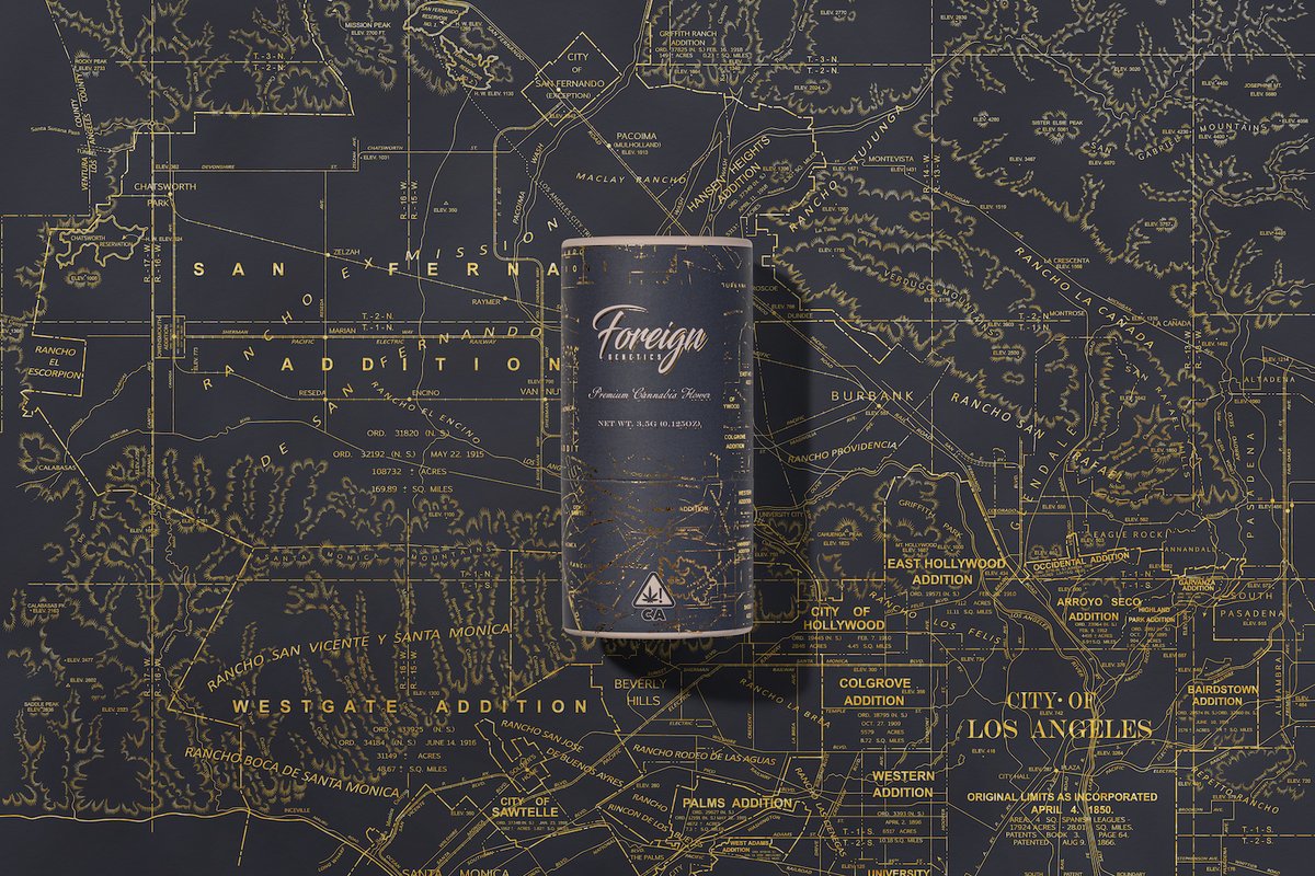 Foreign Genetics Paper Tube - Image 9